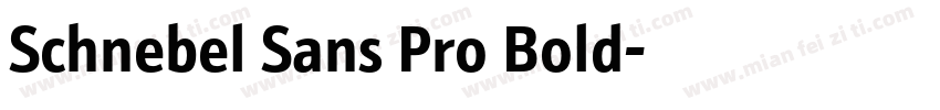 Schnebel Sans Pro Bold字体转换
